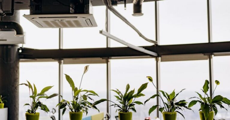 Air Conditioner - Potted Plants Near Glass Windows