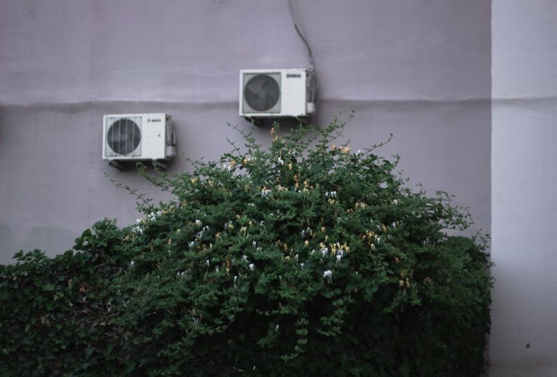 Air Conditioner - green leafed plant